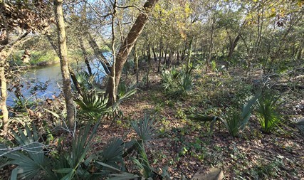 000 Bayou Road Property Photo 6