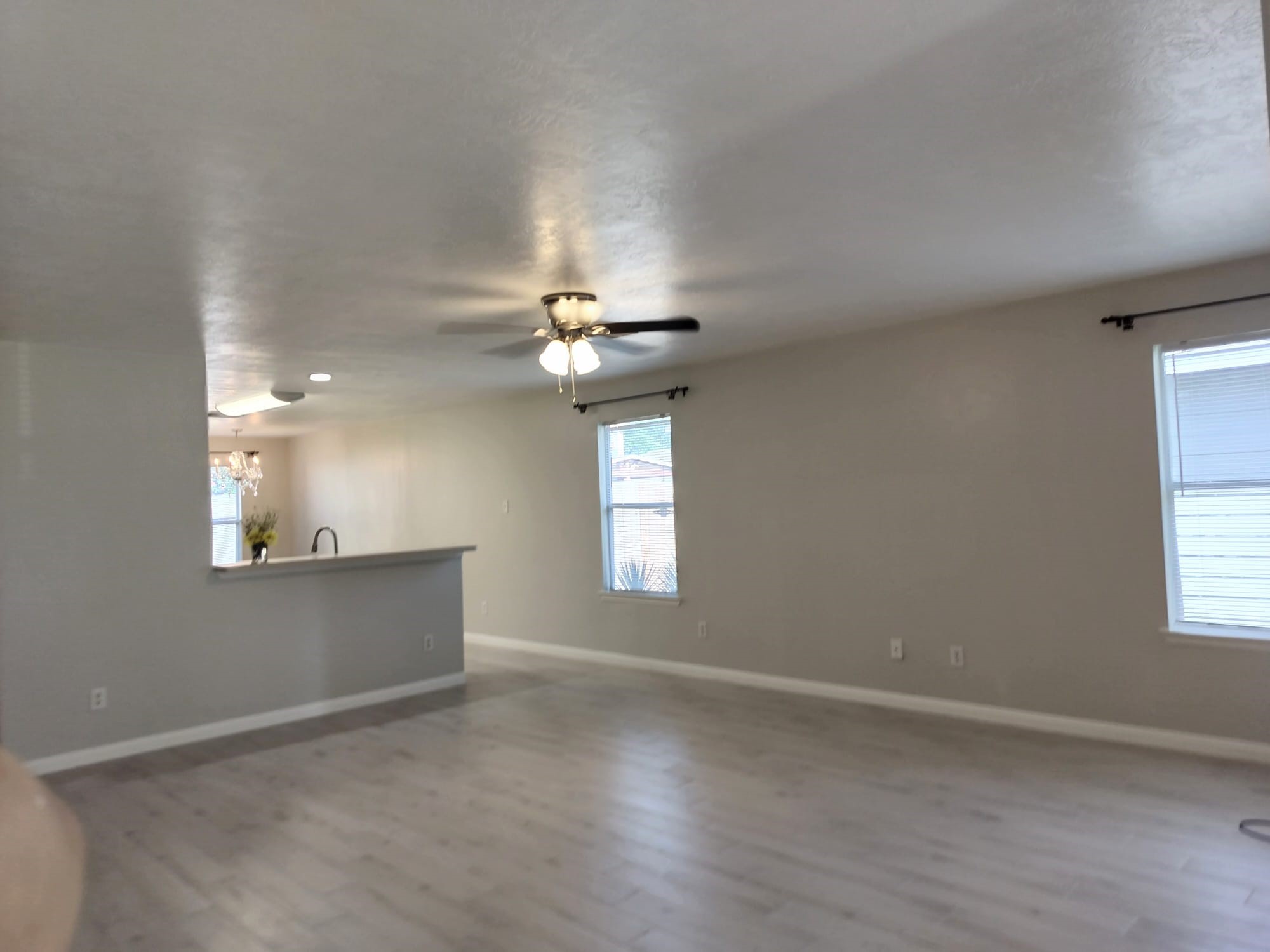 21242 Linden House Court Property Photo 4