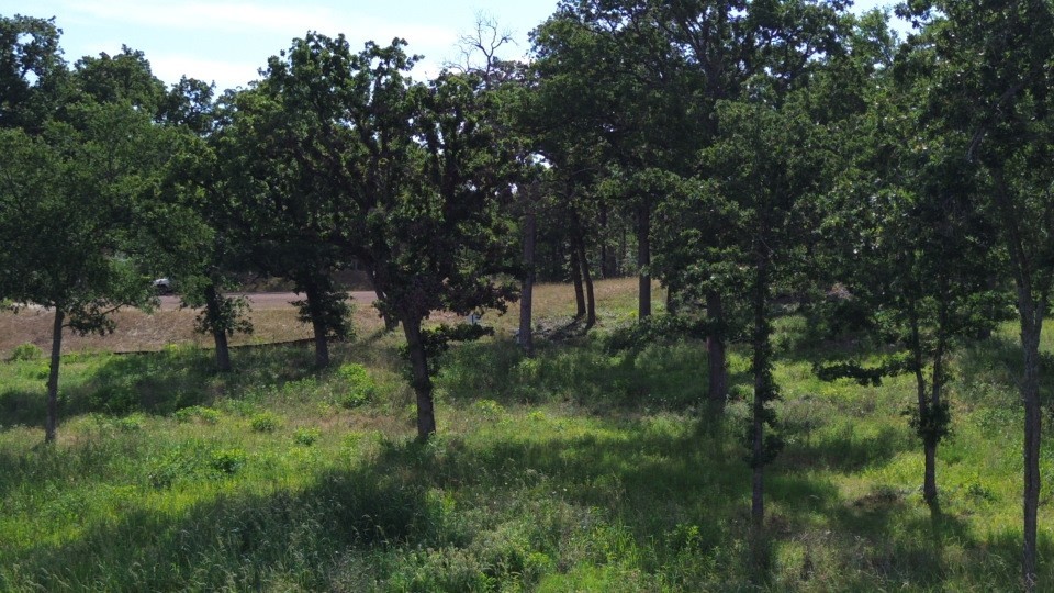 Tbd Lot 30 Pr 5882a Property Photo 3