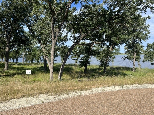 Tbd Lot 30 Pr 5882a Property Photo 4