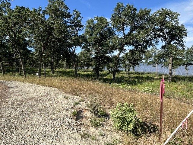 Tbd Lot 30 Pr 5882a Property Photo 5