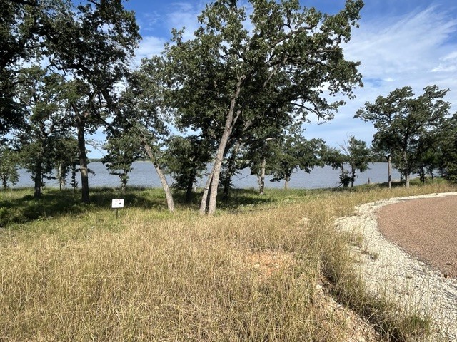 Tbd Lot 30 Pr 5882a Property Photo 7