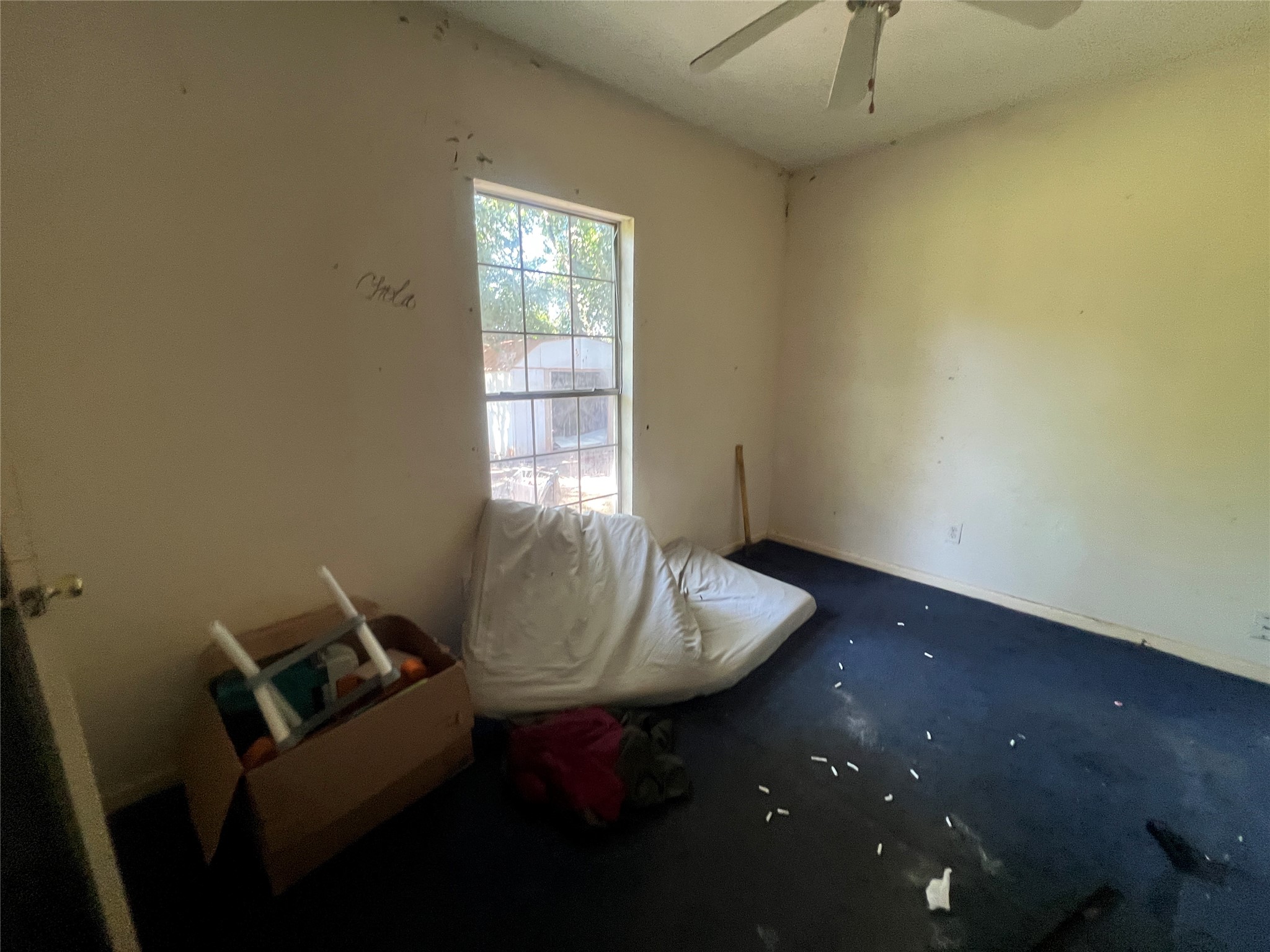 7612 E Magnolia Street Property Photo 21