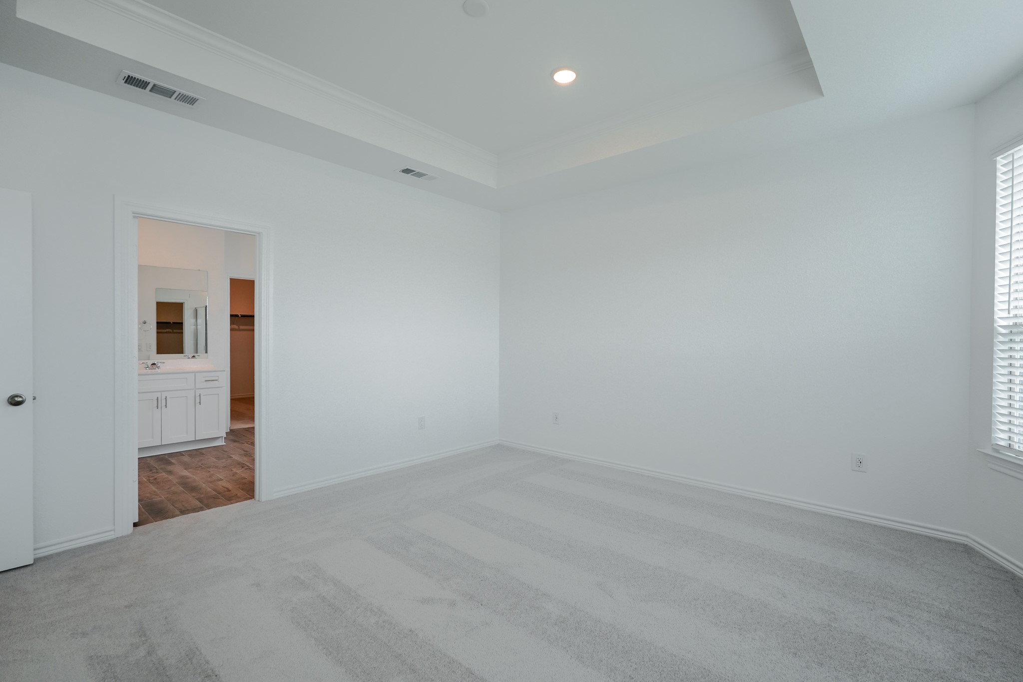 15117 Wild Gully Way Property Photo 19