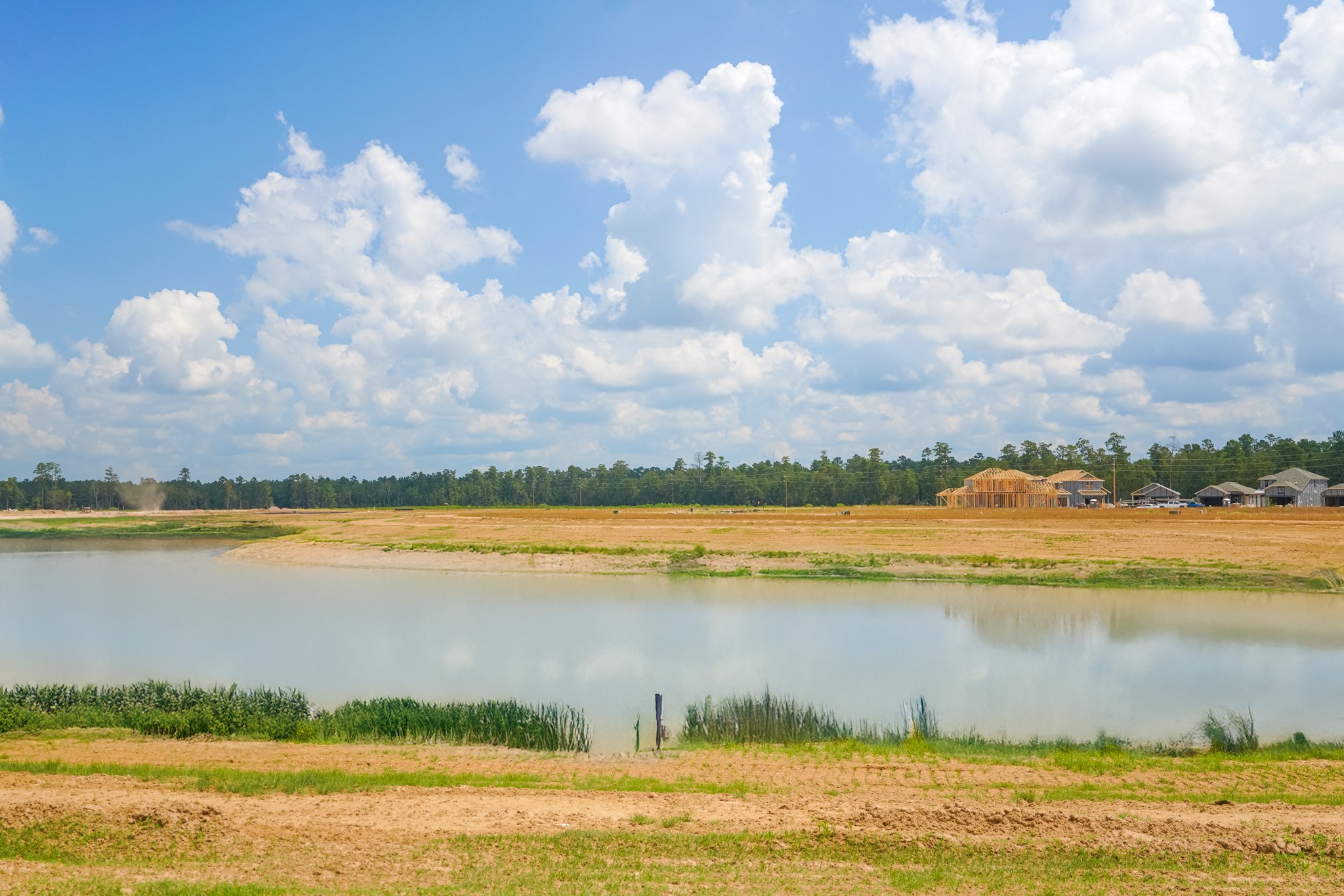 15117 Wild Gully Way Property Photo 35