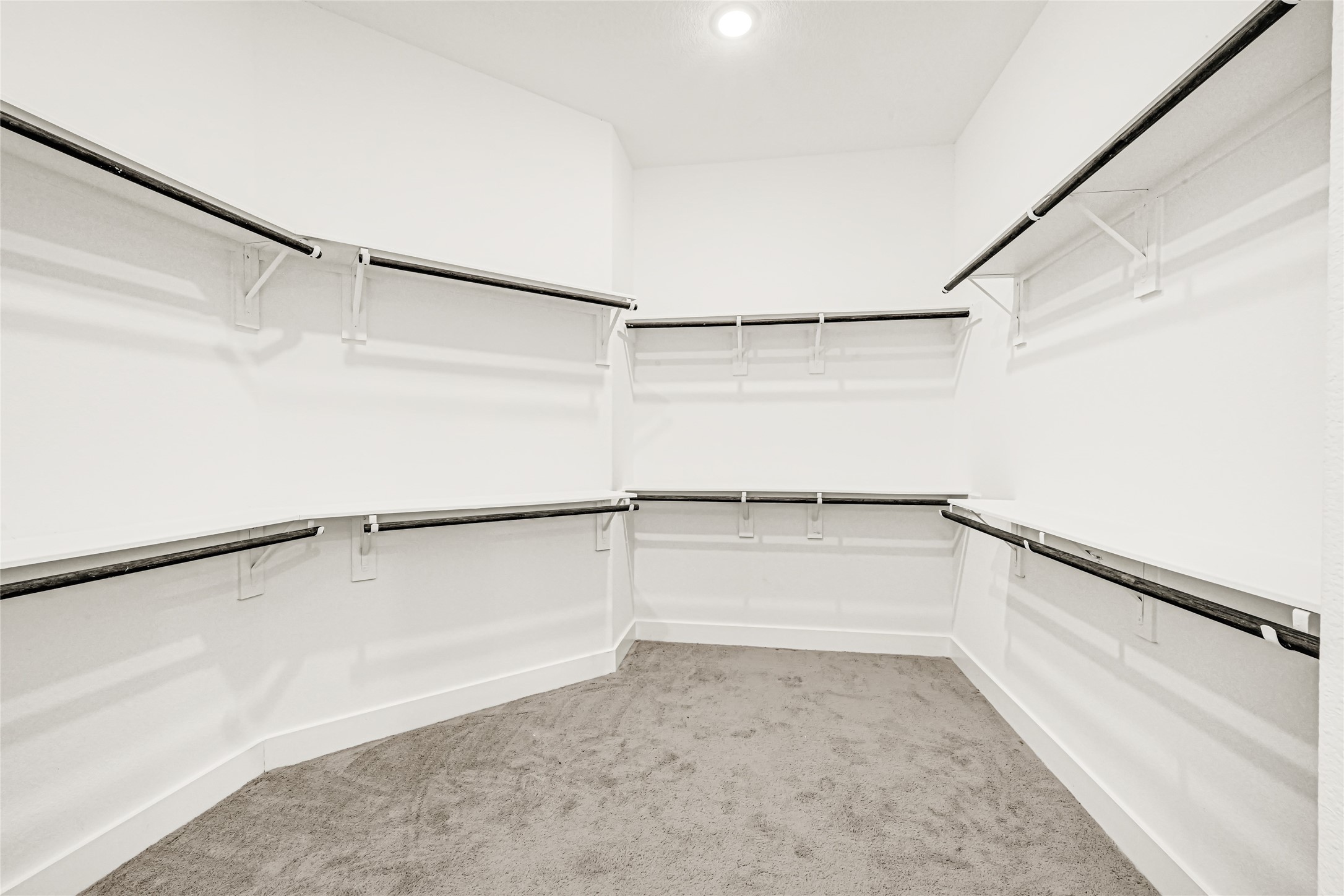 10315 Fountain Shore Drive Property Photo 19