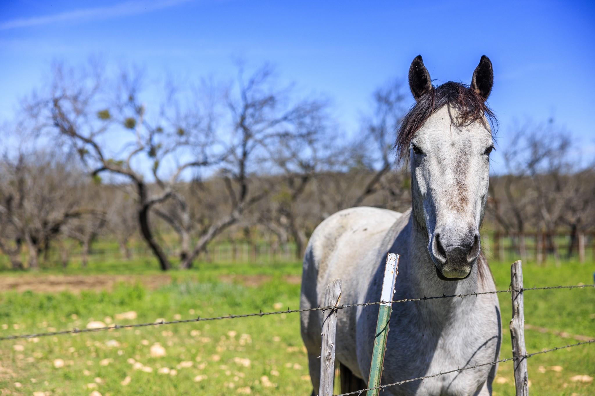 723 Fm 2926 Property Photo 9