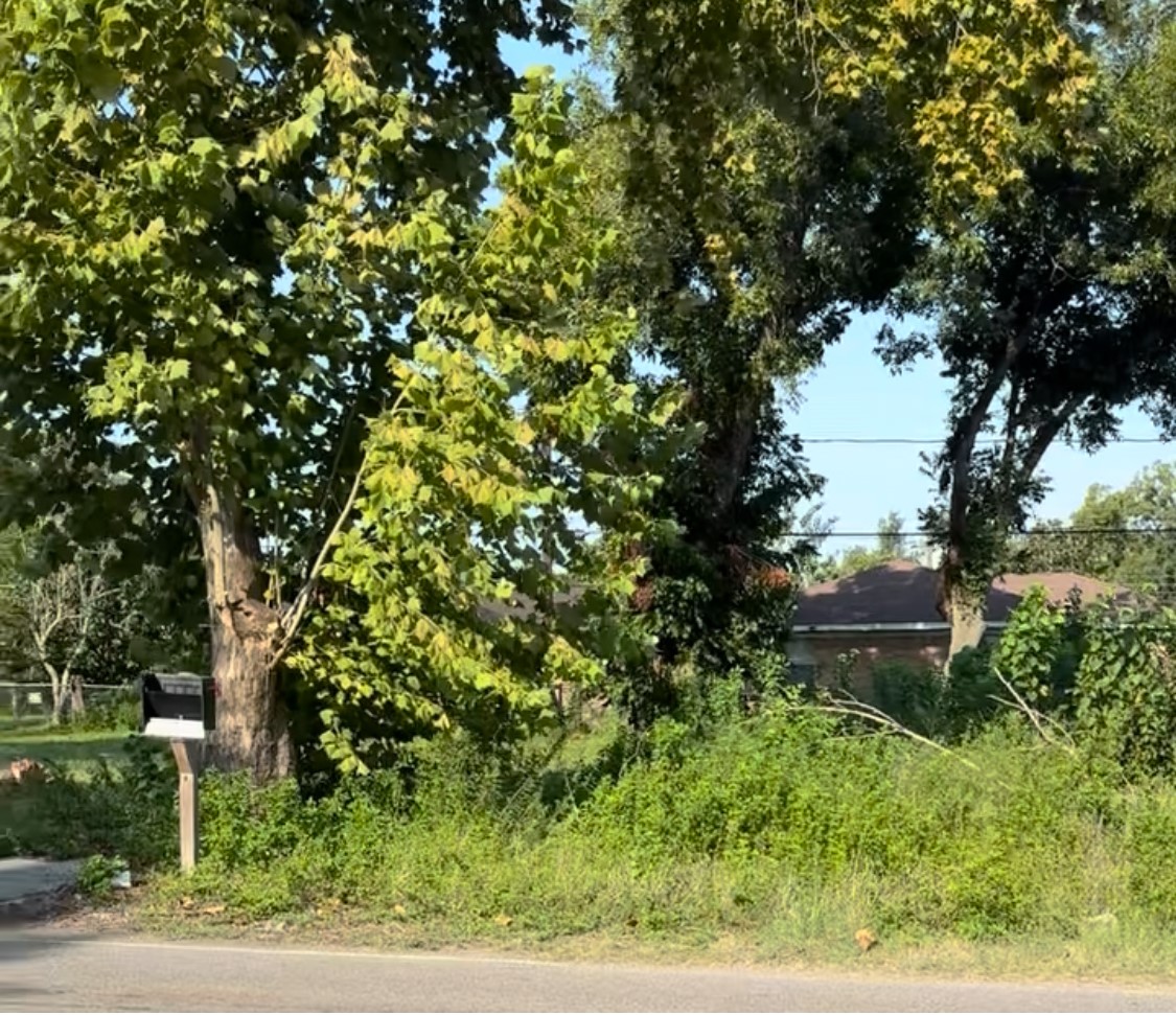 0 Collins Road Property Photo 2