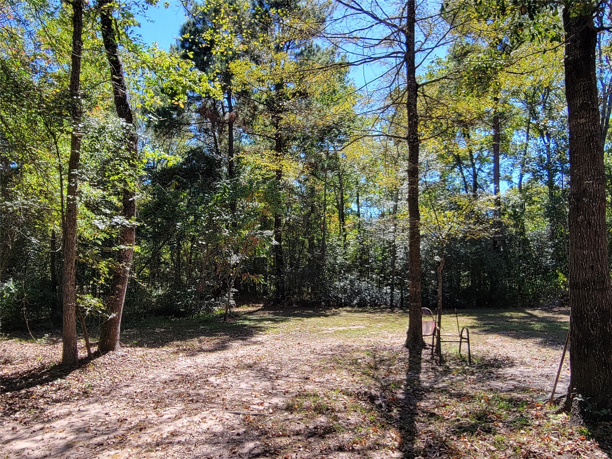 566 Fm 2296 Road Property Photo 3