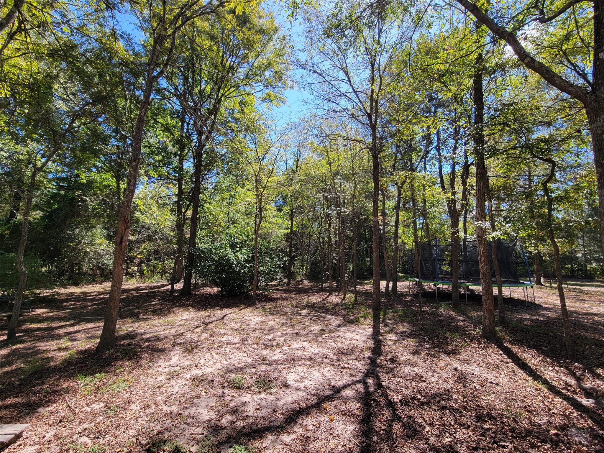 566 Fm 2296 Road Property Photo 5