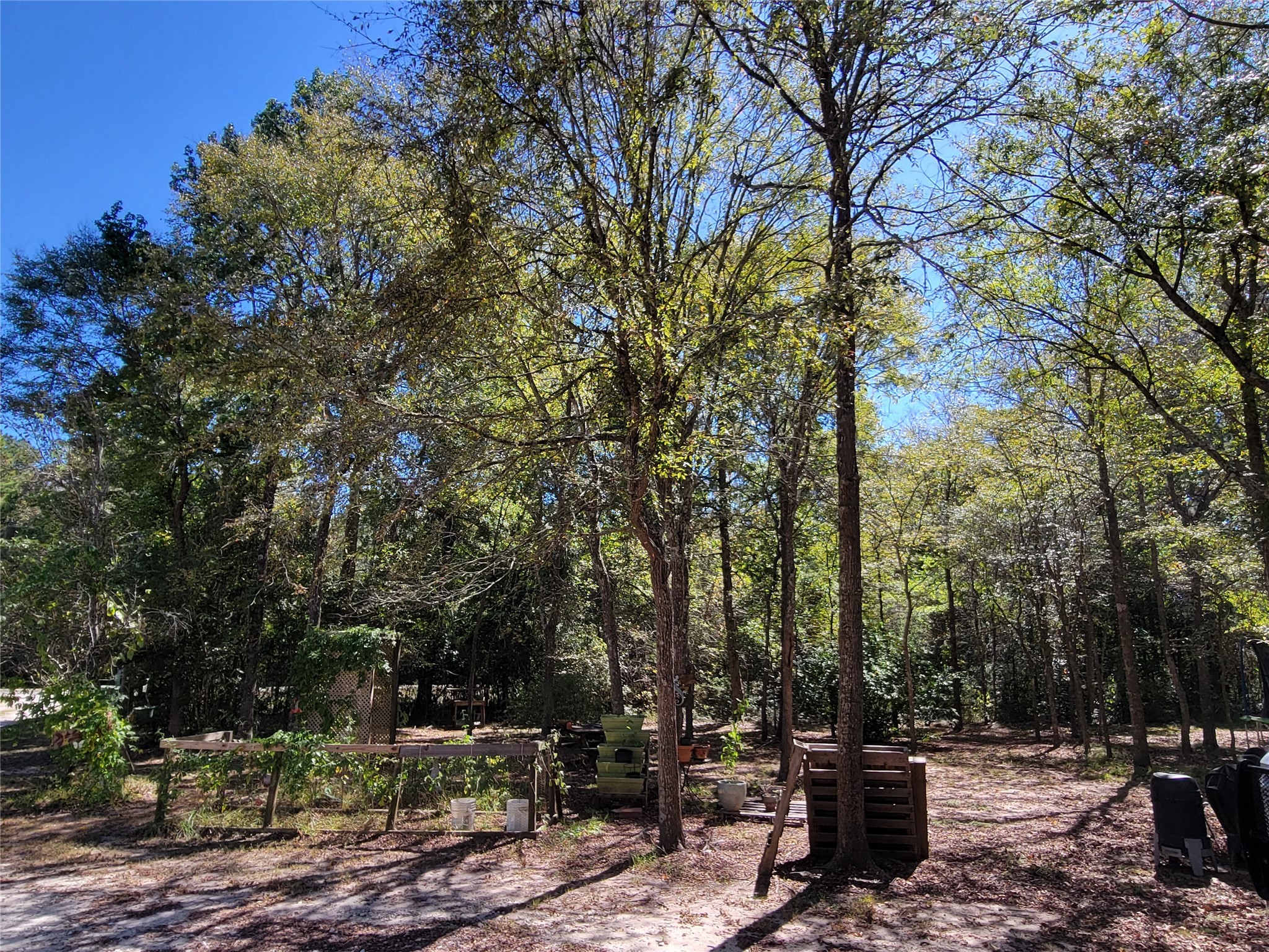 566 Fm 2296 Road Property Photo 8