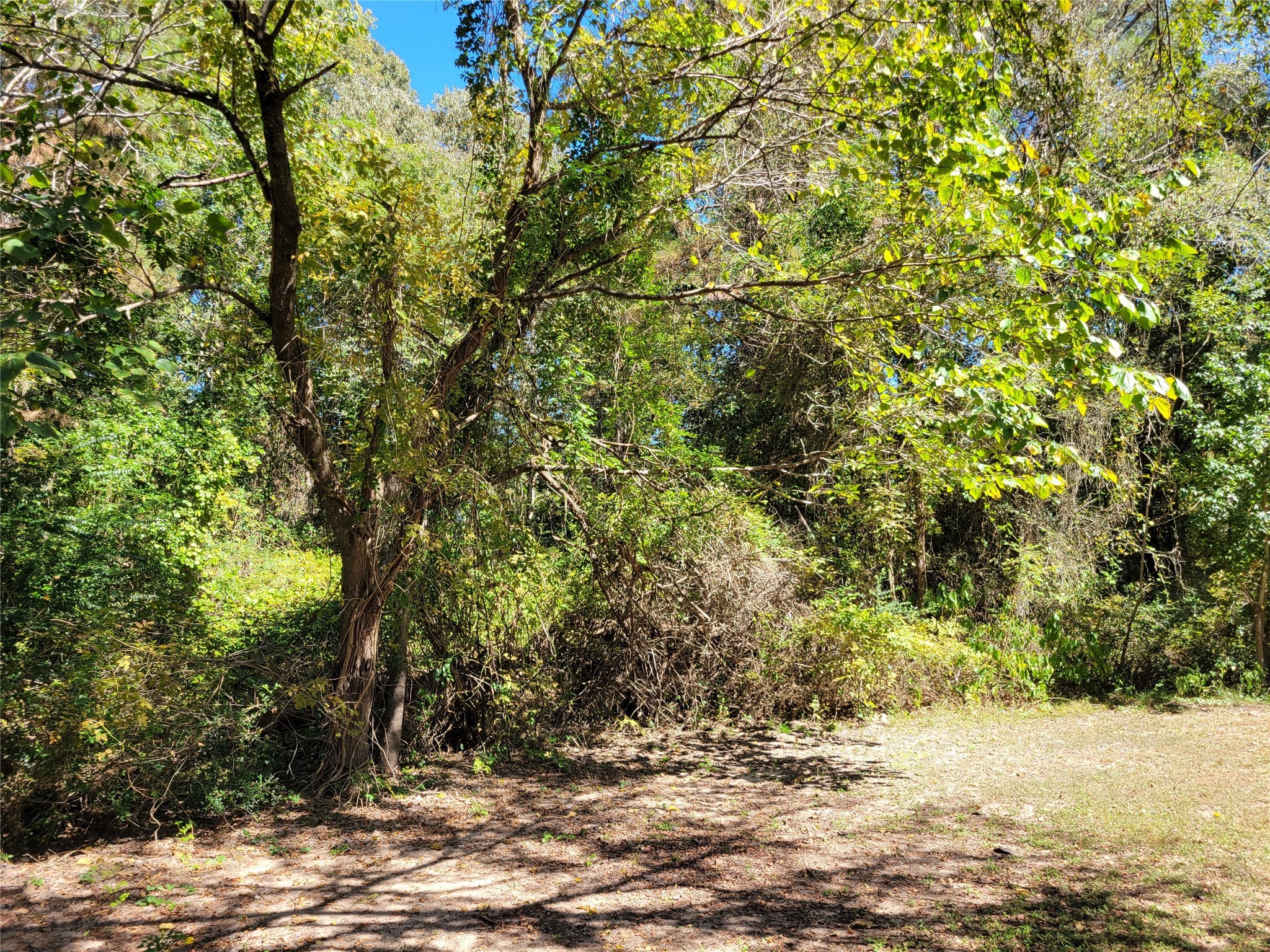 566 Fm 2296 Road Property Photo 9