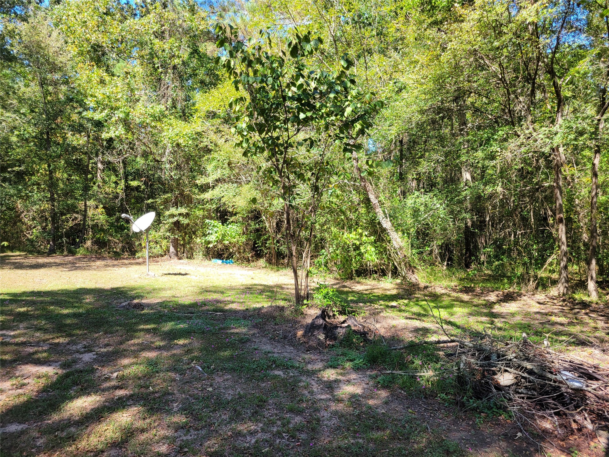 566 Fm 2296 Road Property Photo 10