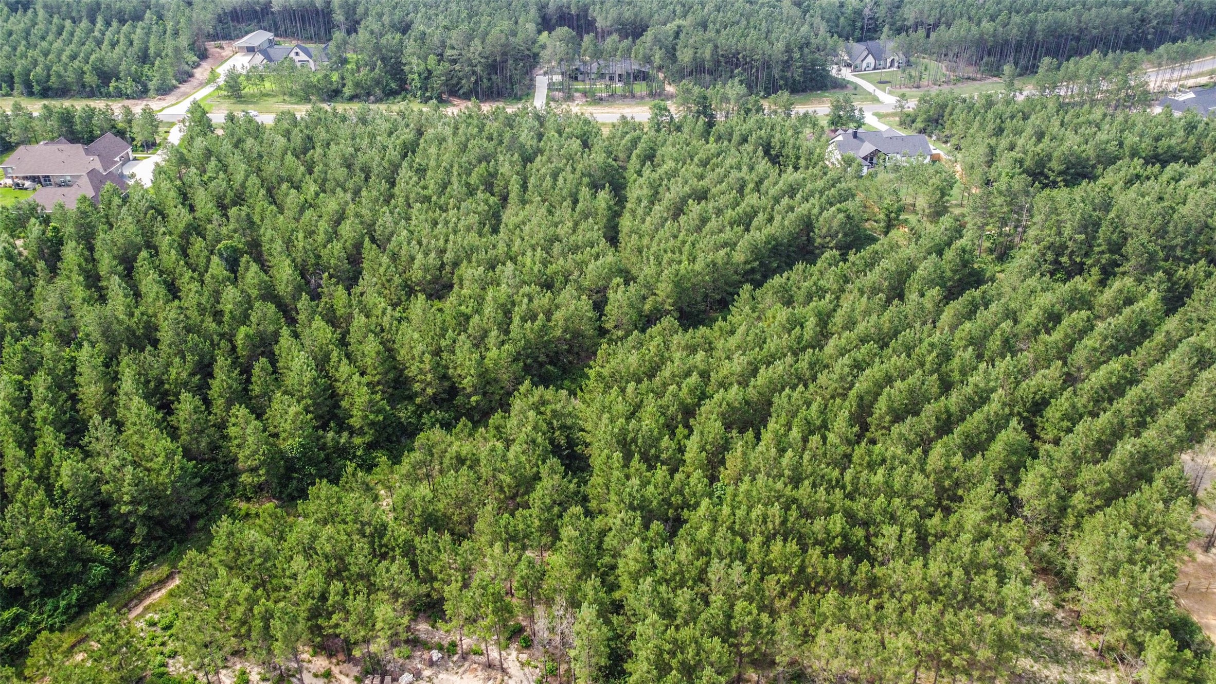15917 Ridge Oak Road Property Photo 8
