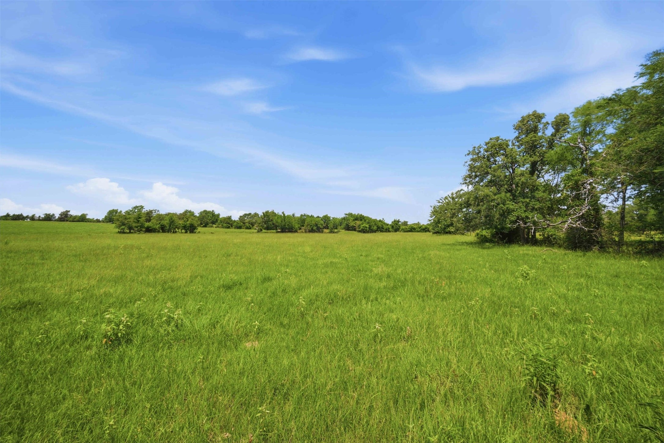 Tract 1 Wheel Corner Road Property Photo 5
