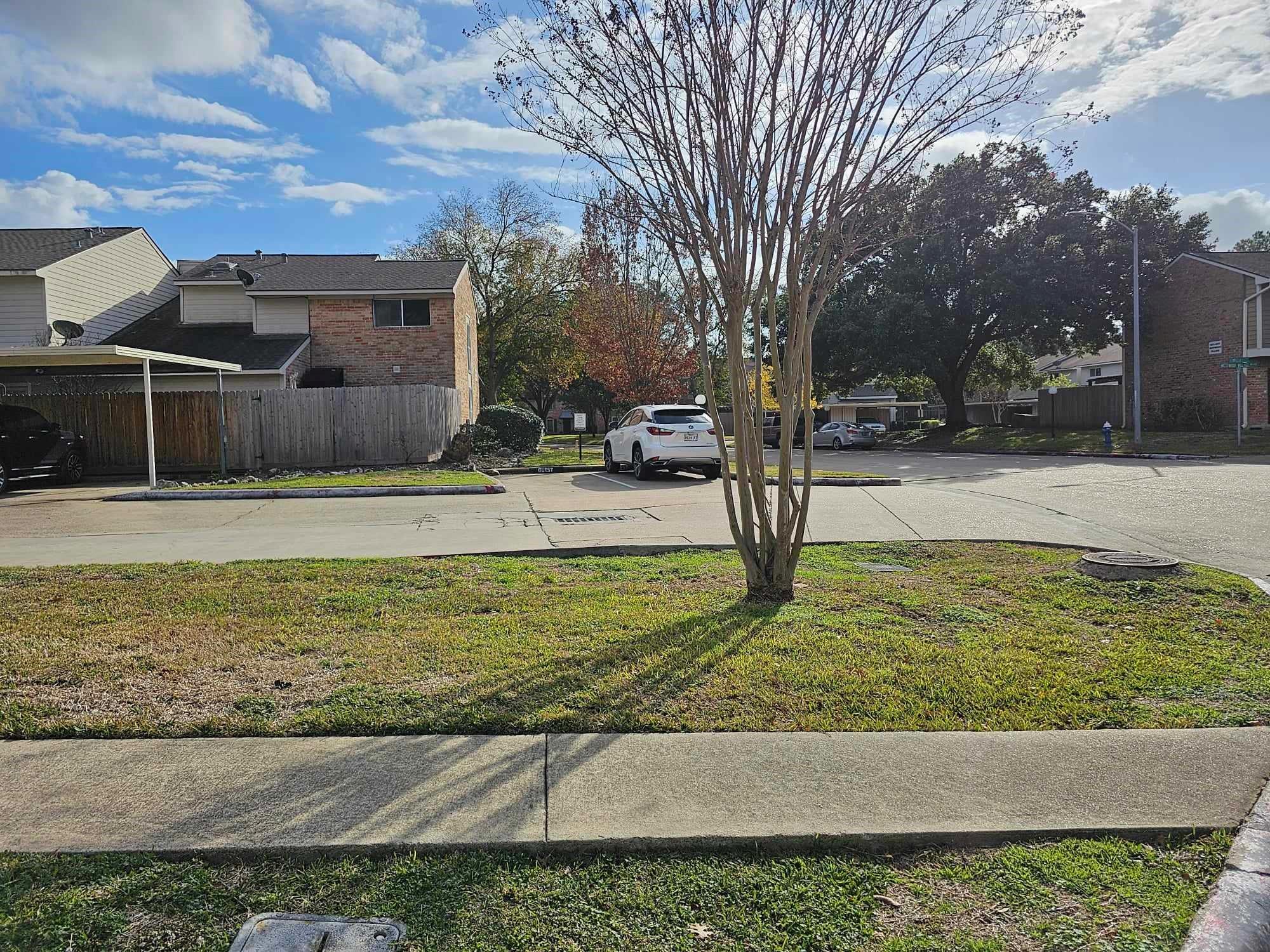 7887 Kendalia Drive Property Photo 3