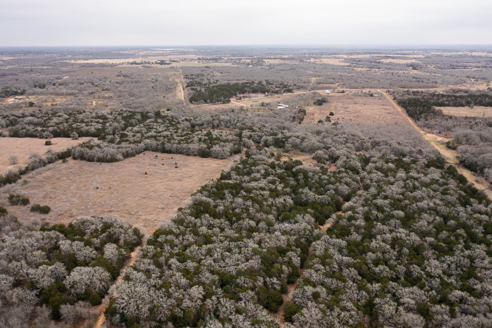 17 Acres - 000 Grassyville Rd Property Photo 1