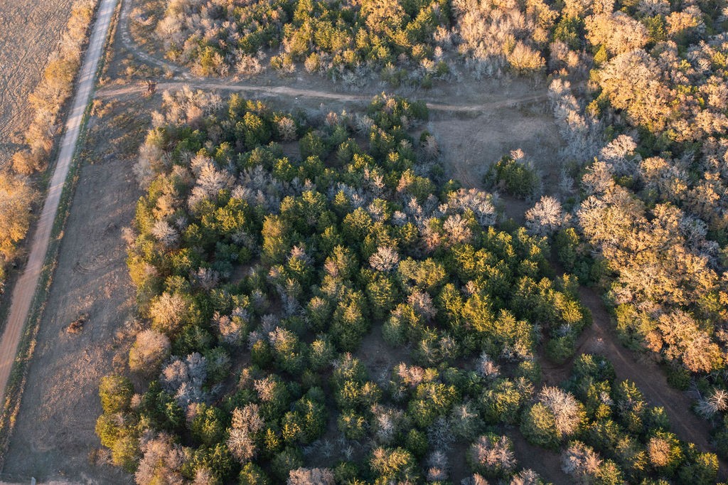 17 Acres - 000 Grassyville Rd Property Photo 5