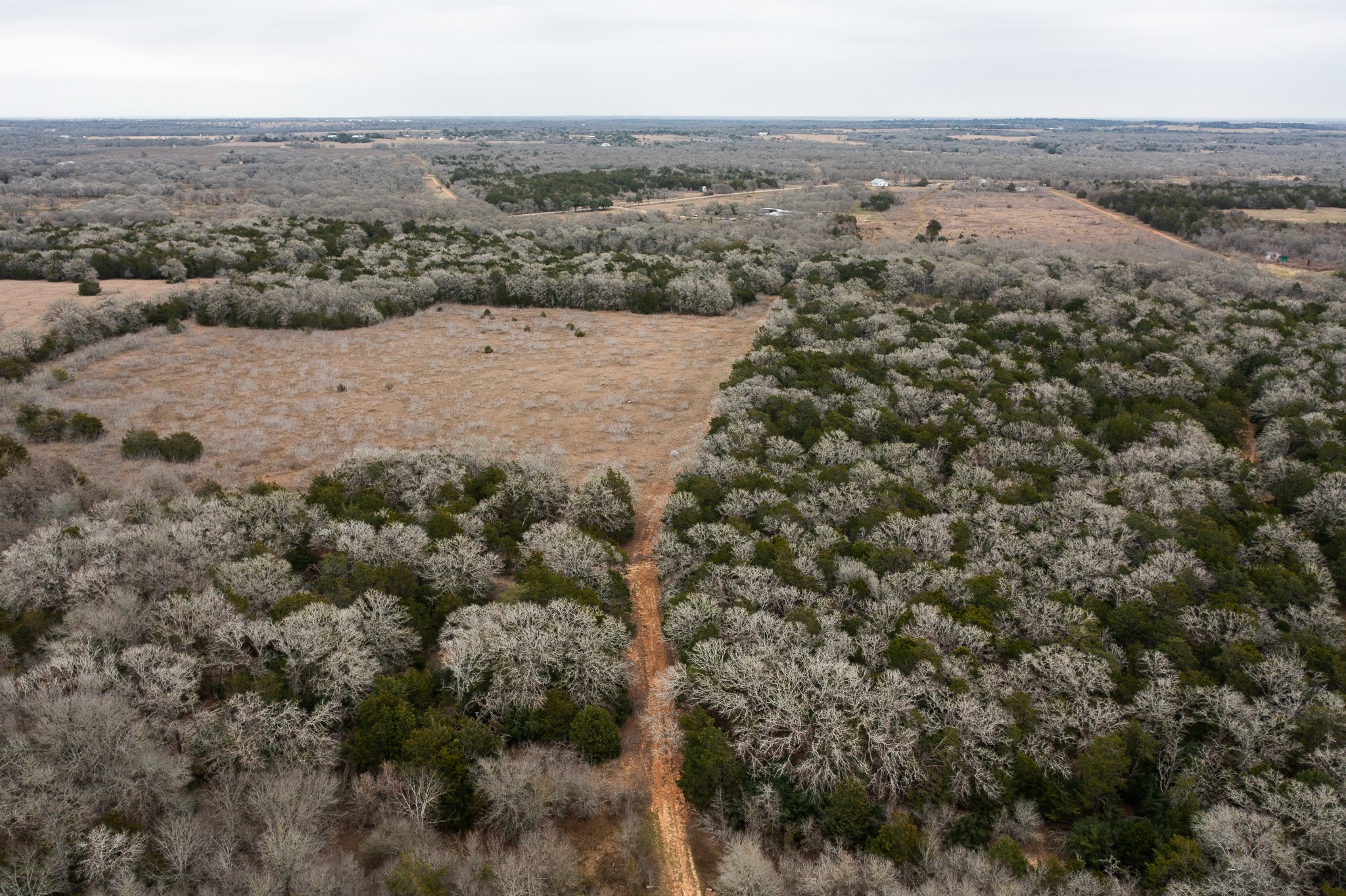 17 Acres - 000 Grassyville Rd Property Photo 15
