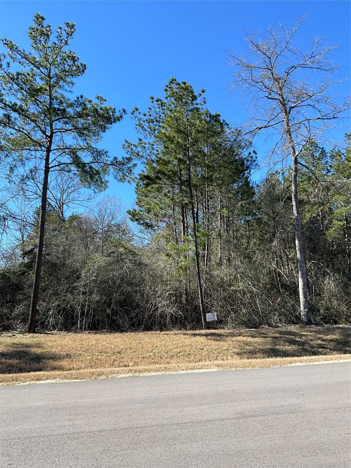341 Exploration Road Property Photo 1