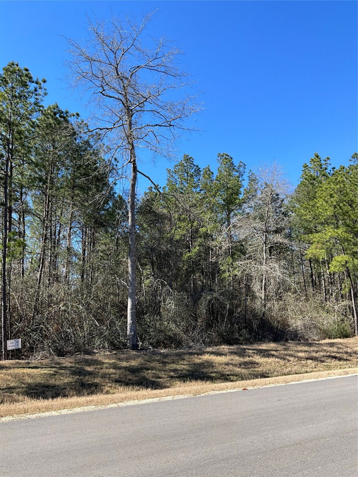 341 Exploration Road Property Photo 2