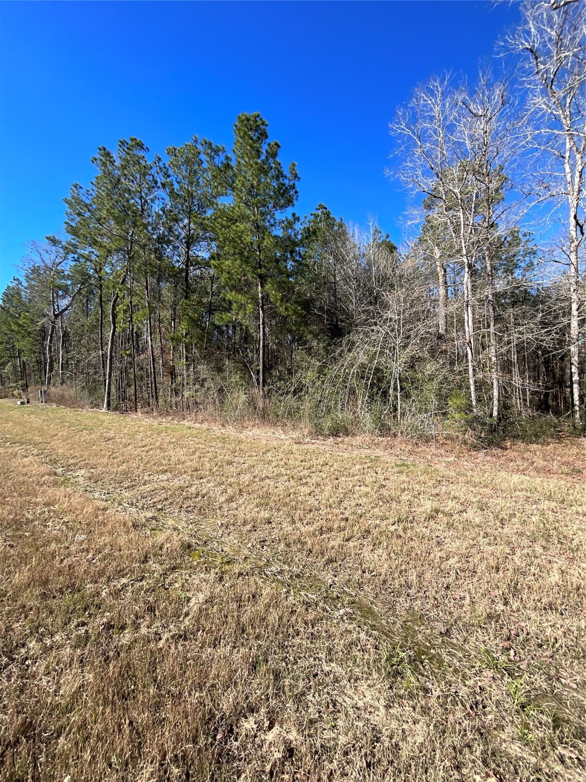 341 Exploration Road Property Photo 3