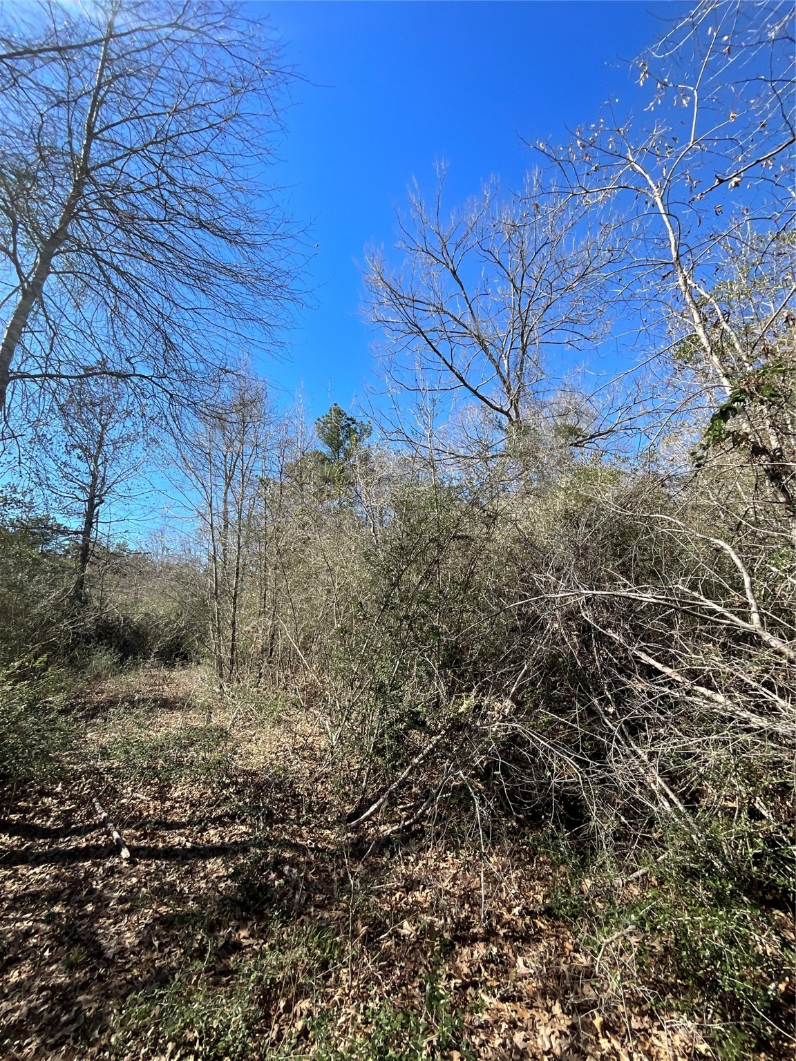 341 Exploration Road Property Photo 4