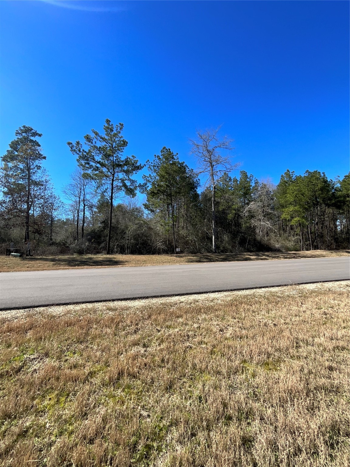 341 Exploration Road Property Photo 5