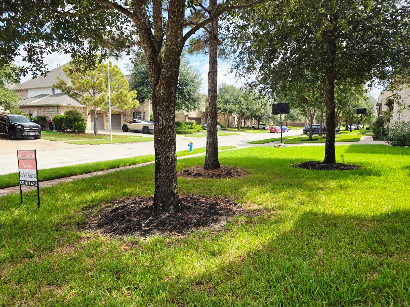 27419 Canyon Reach Dr Property Photo 5