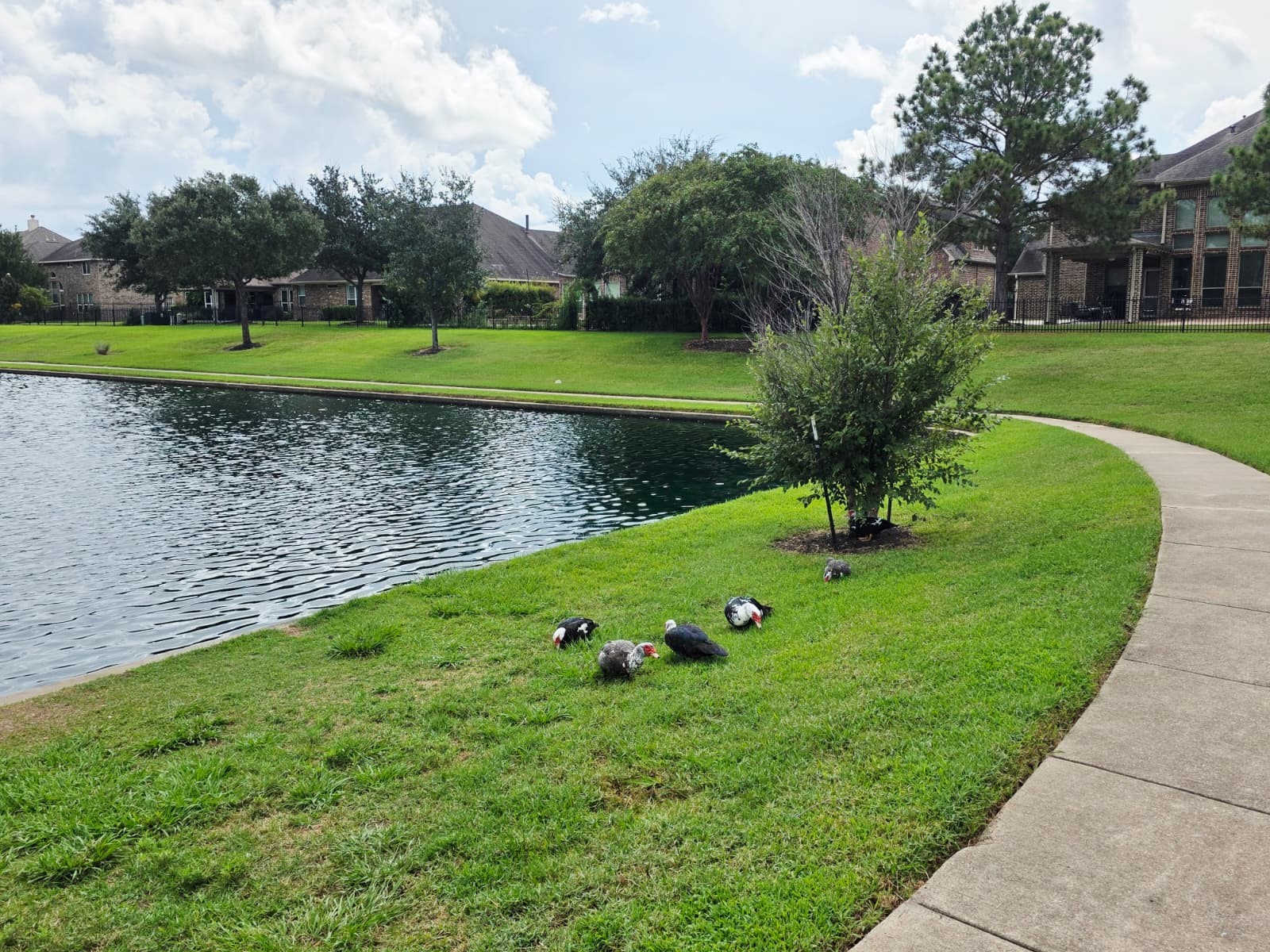 27419 Canyon Reach Dr Property Photo 20