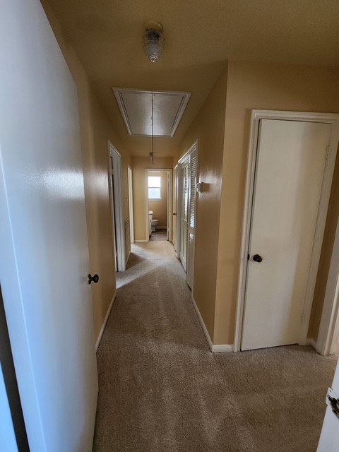 9614 Halkirk Street Property Photo 14