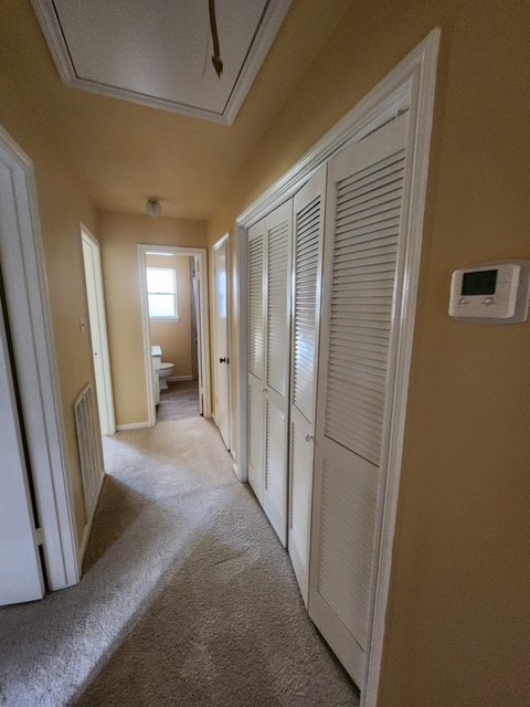 9614 Halkirk Street Property Photo 21