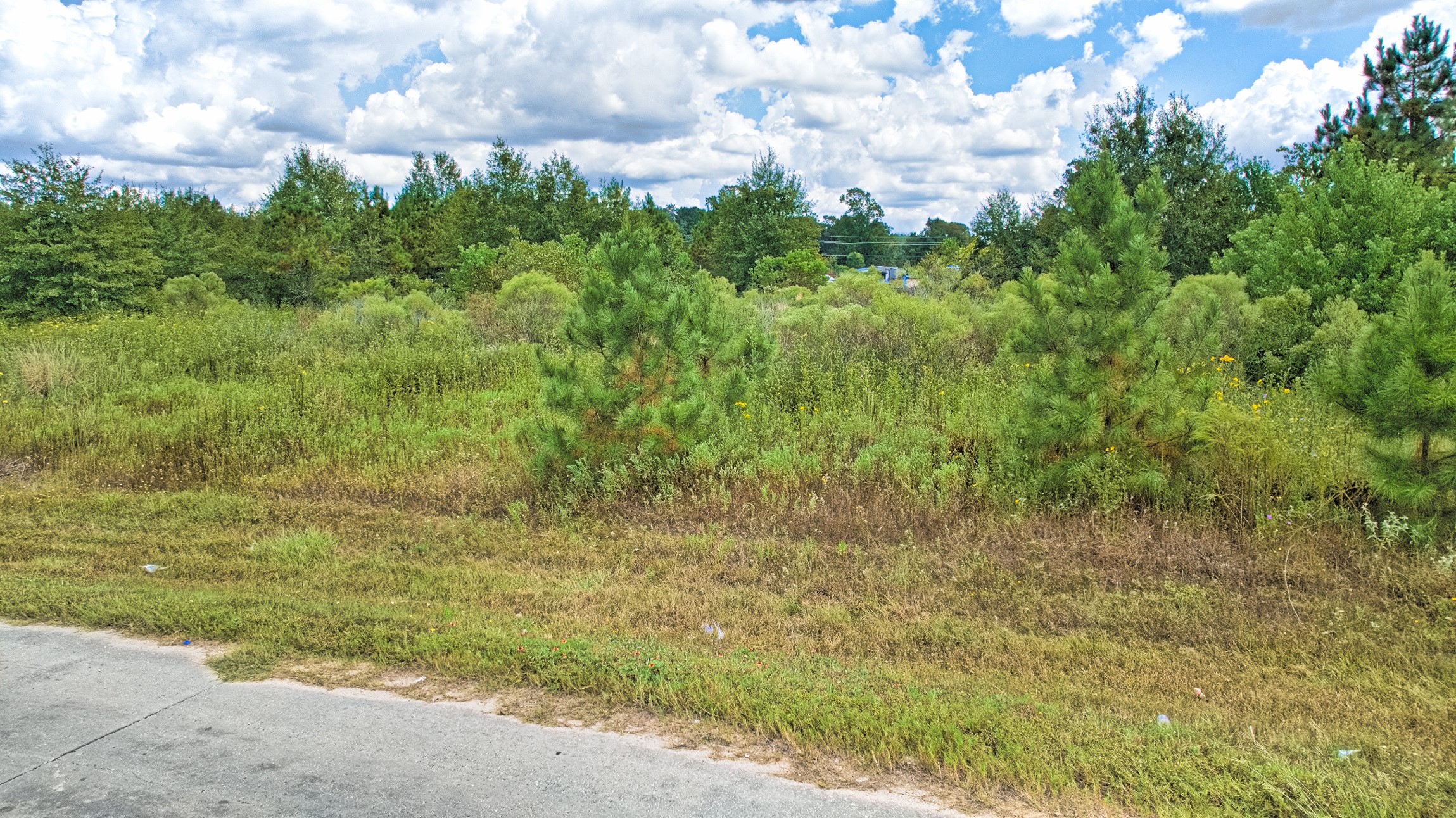 217 County Road 3581 Property Photo 10