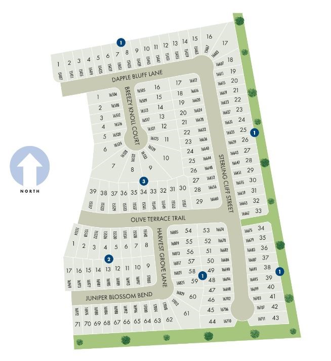 16997 Juniper Blossom Bend Property Photo 3