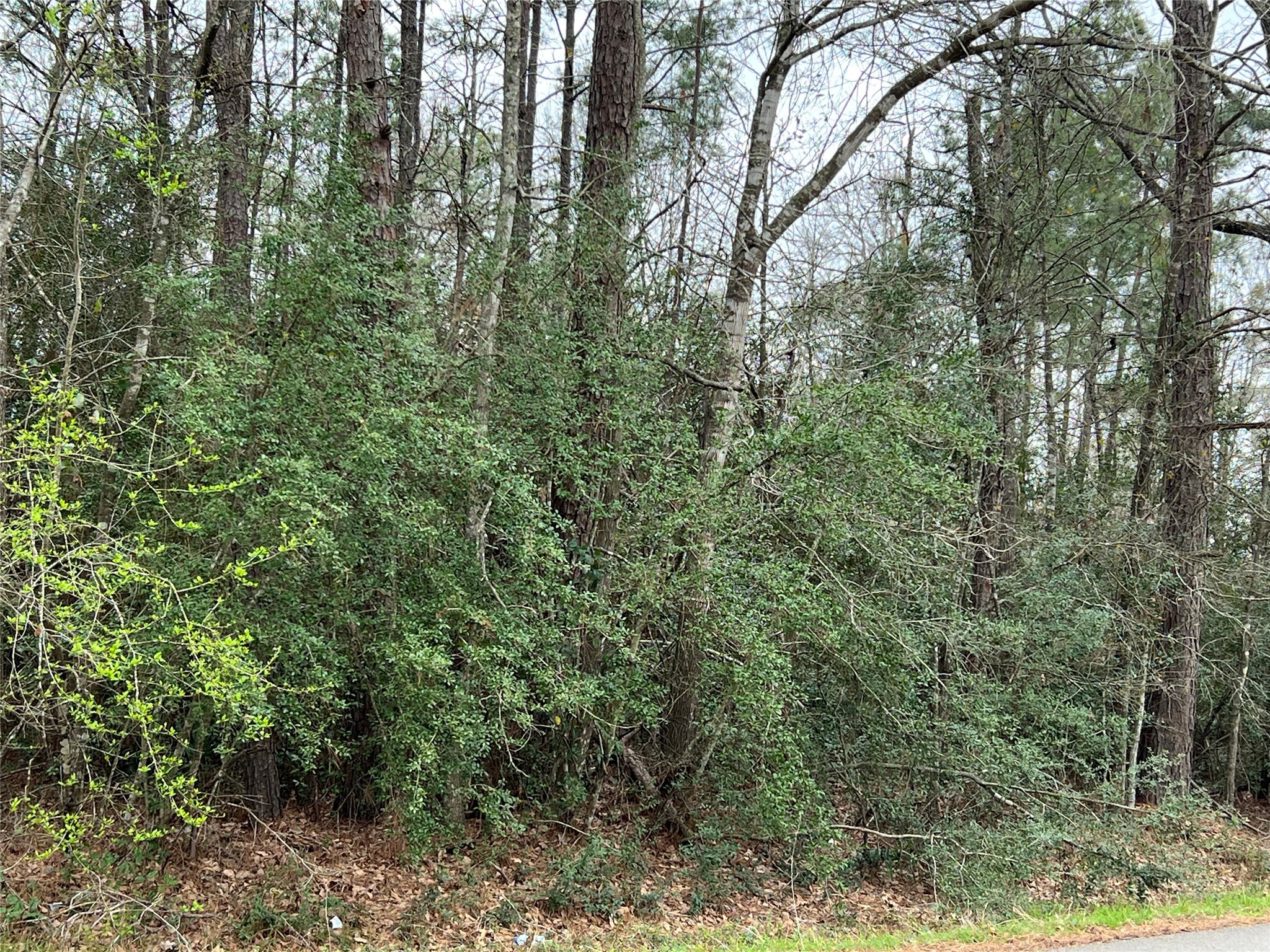 Lot 47 Concord Drive Property Photo 1