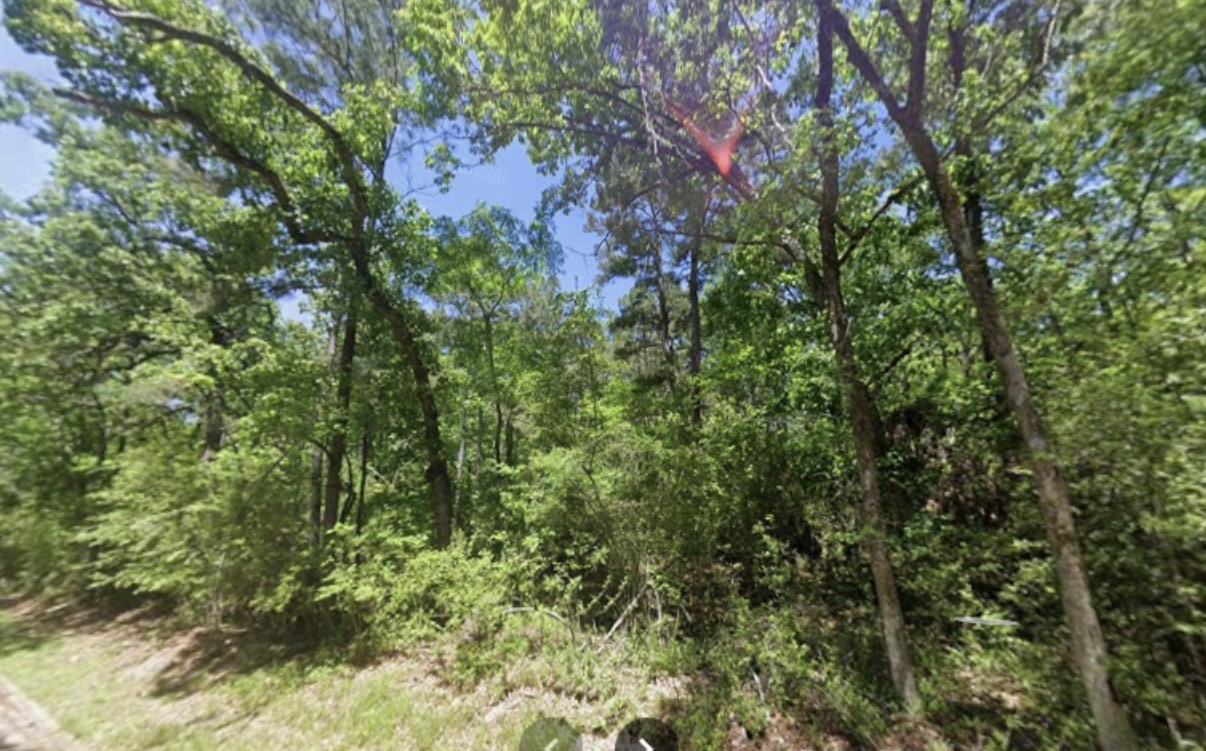 Tbd Bay Hill Road Property Photo 5