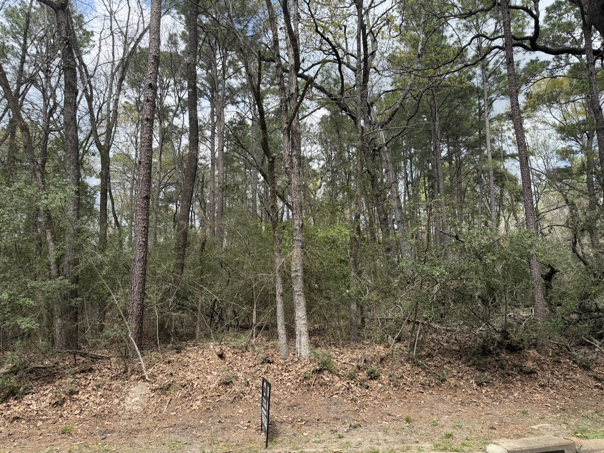 Tbd Bay Hill Road Property Photo 6