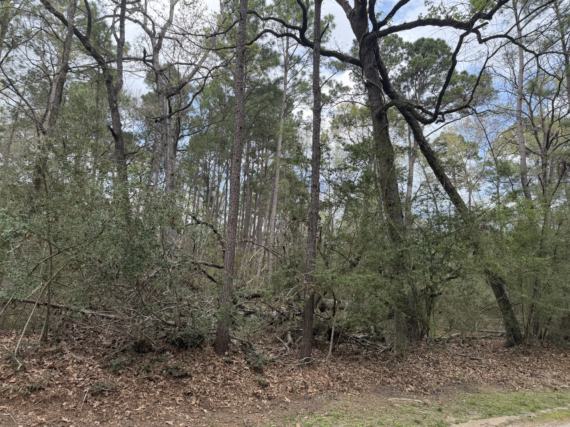 Tbd Bay Hill Road Property Photo 7