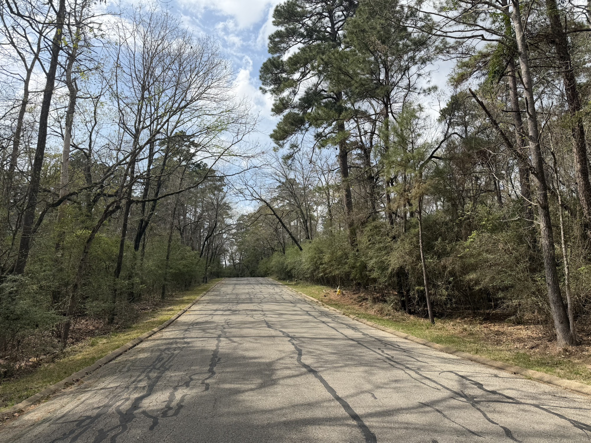 Tbd Bay Hill Road Property Photo 8