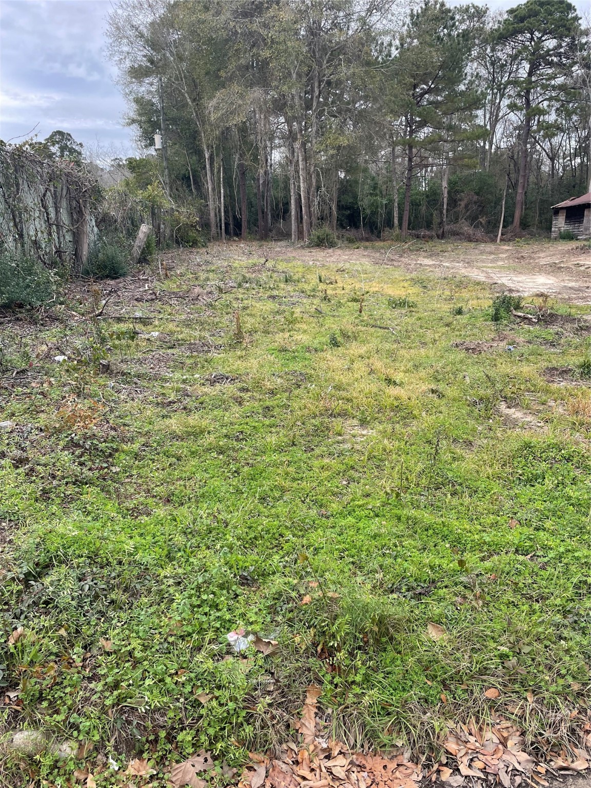 Tbd Mlk Property Photo 5