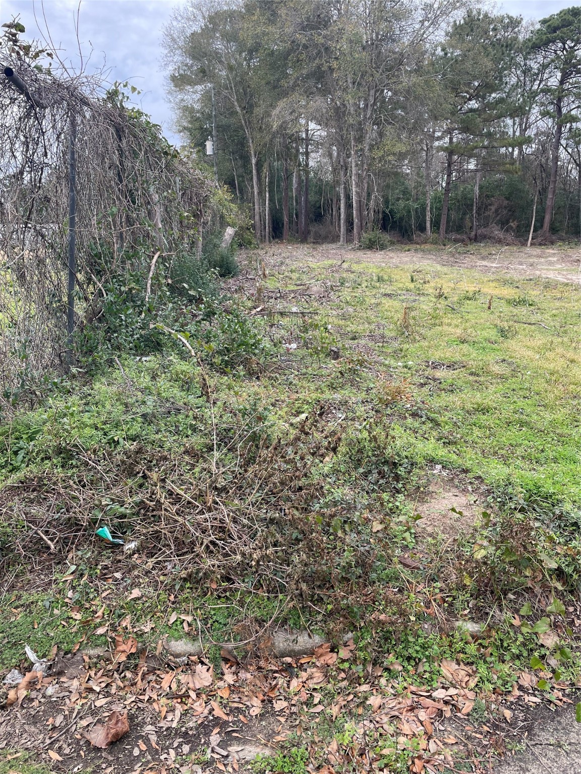 Tbd Mlk Property Photo 6