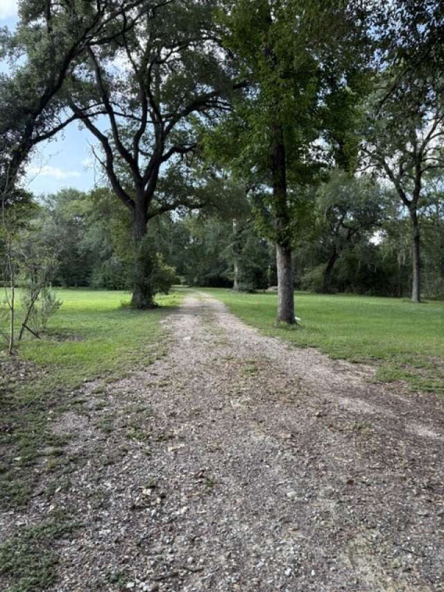 27851 Kresdorn Road Property Photo 19