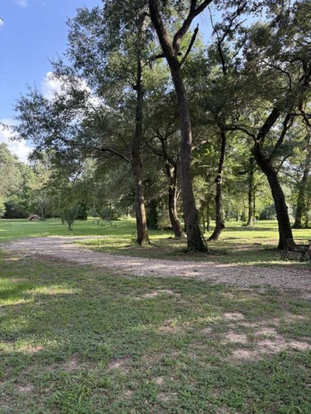 27851 Kresdorn Road Property Photo 20