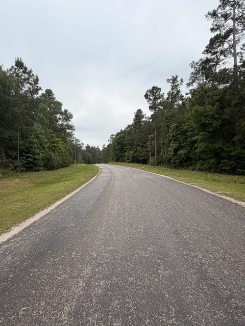 Tbd Texas Grand Road Property Photo 2