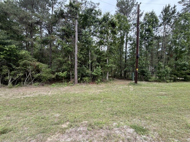 Tbd Texas Grand Road Property Photo 5
