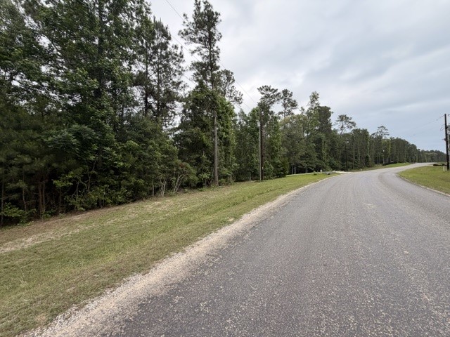 Tbd Texas Grand Road Property Photo 6