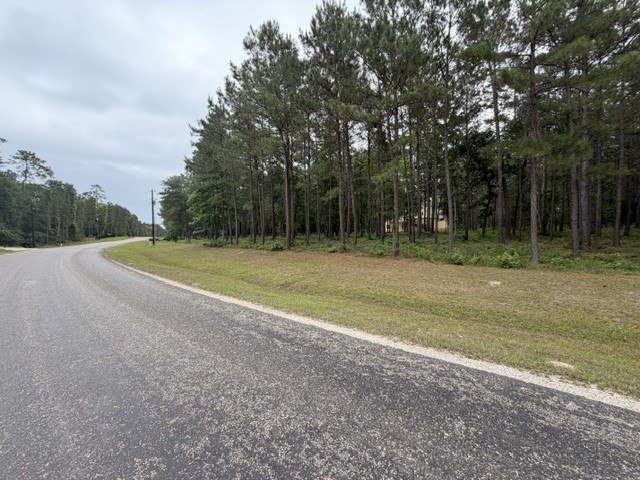 Tbd Texas Grand Road Property Photo 7