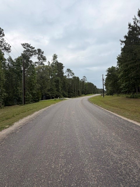 Tbd Texas Grand Road Property Photo 8