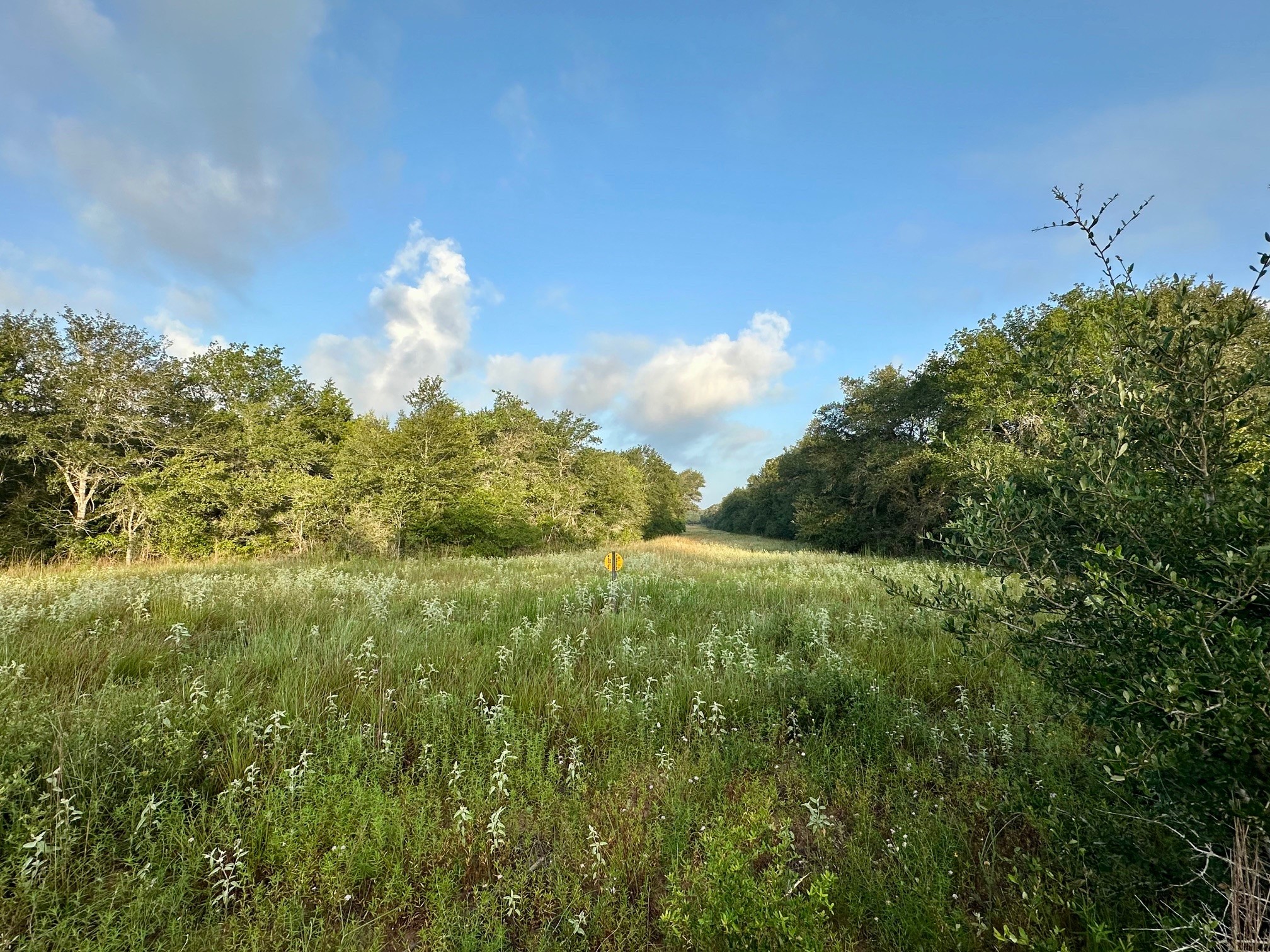 000 Sandy Creek Rd Property Photo 1