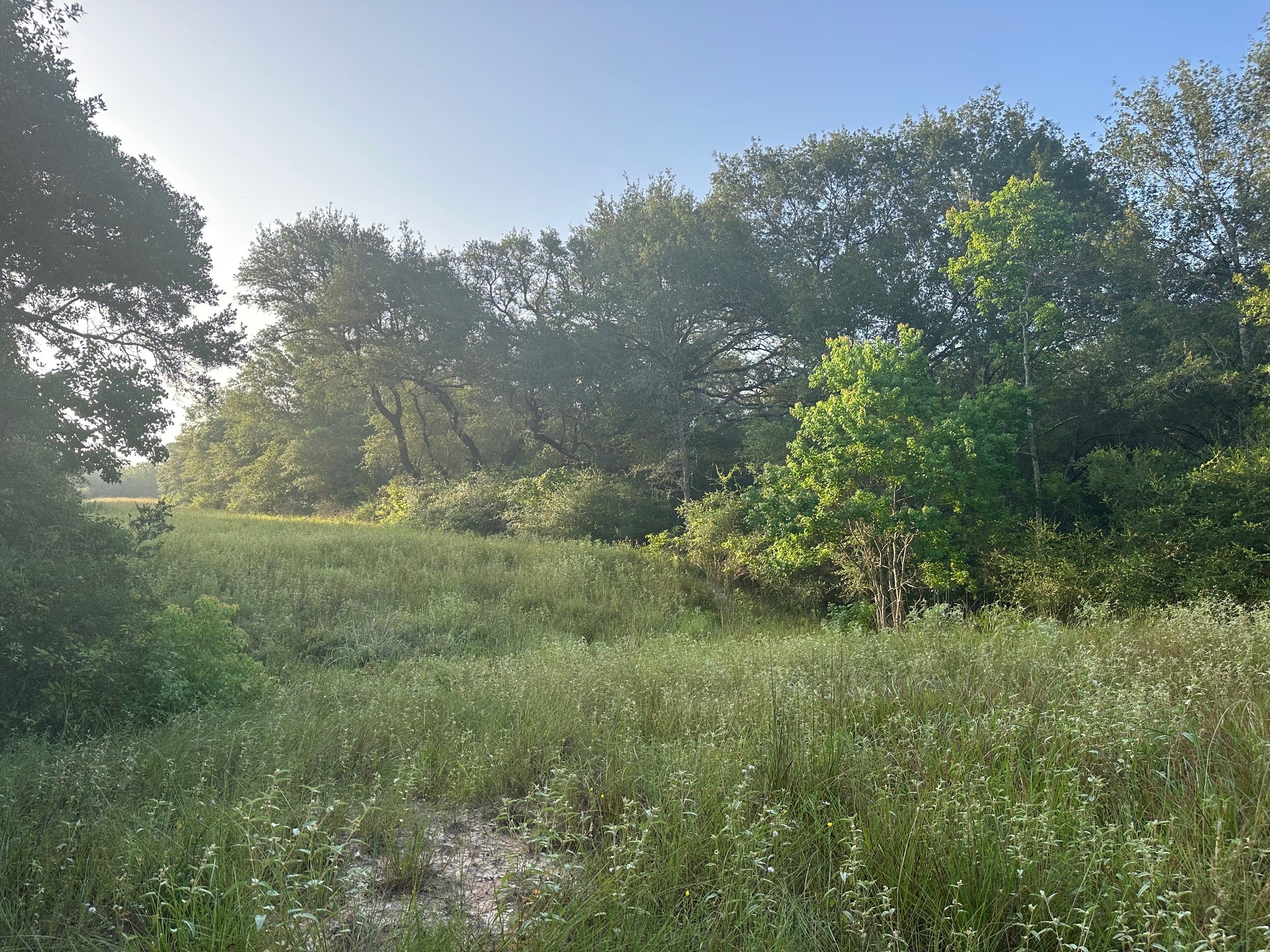 000 Sandy Creek Rd Property Photo 1